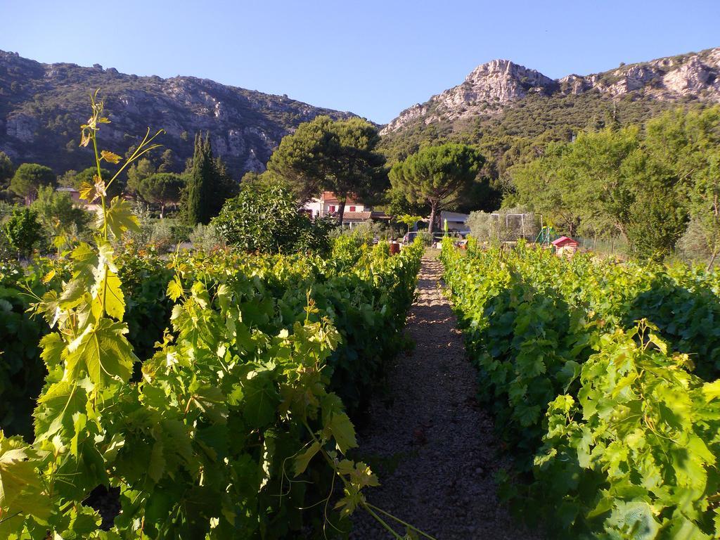 Au Havre De Paix Sainte Victoire Vauvenargues Hotel Eksteriør billede