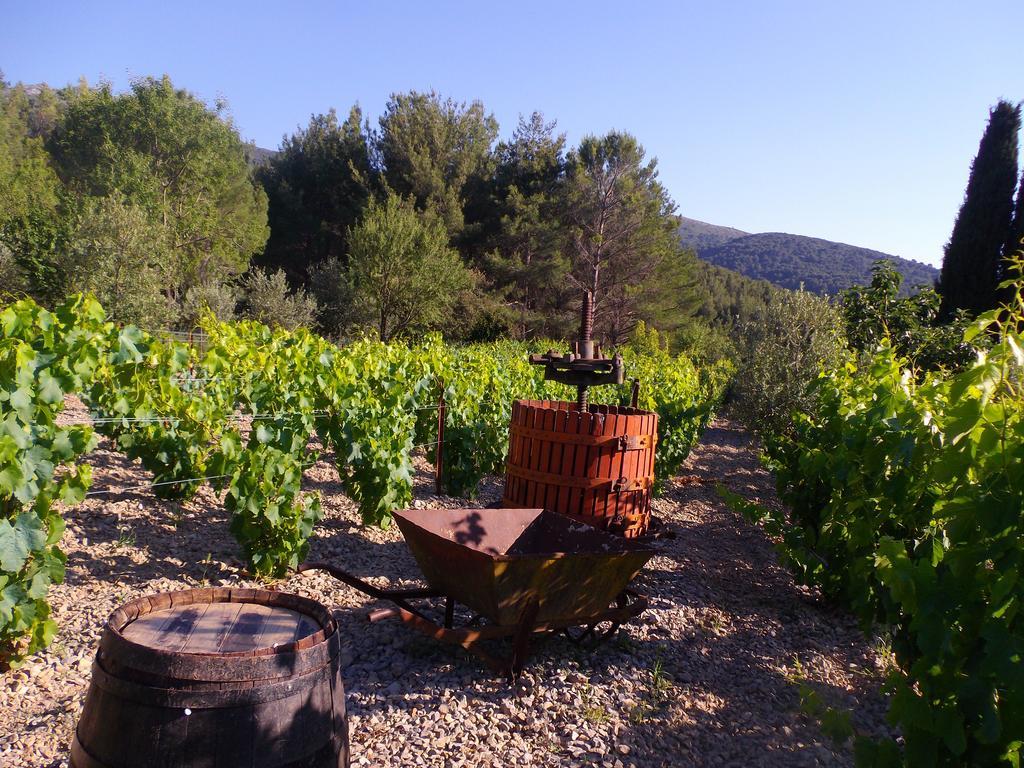 Au Havre De Paix Sainte Victoire Vauvenargues Hotel Eksteriør billede